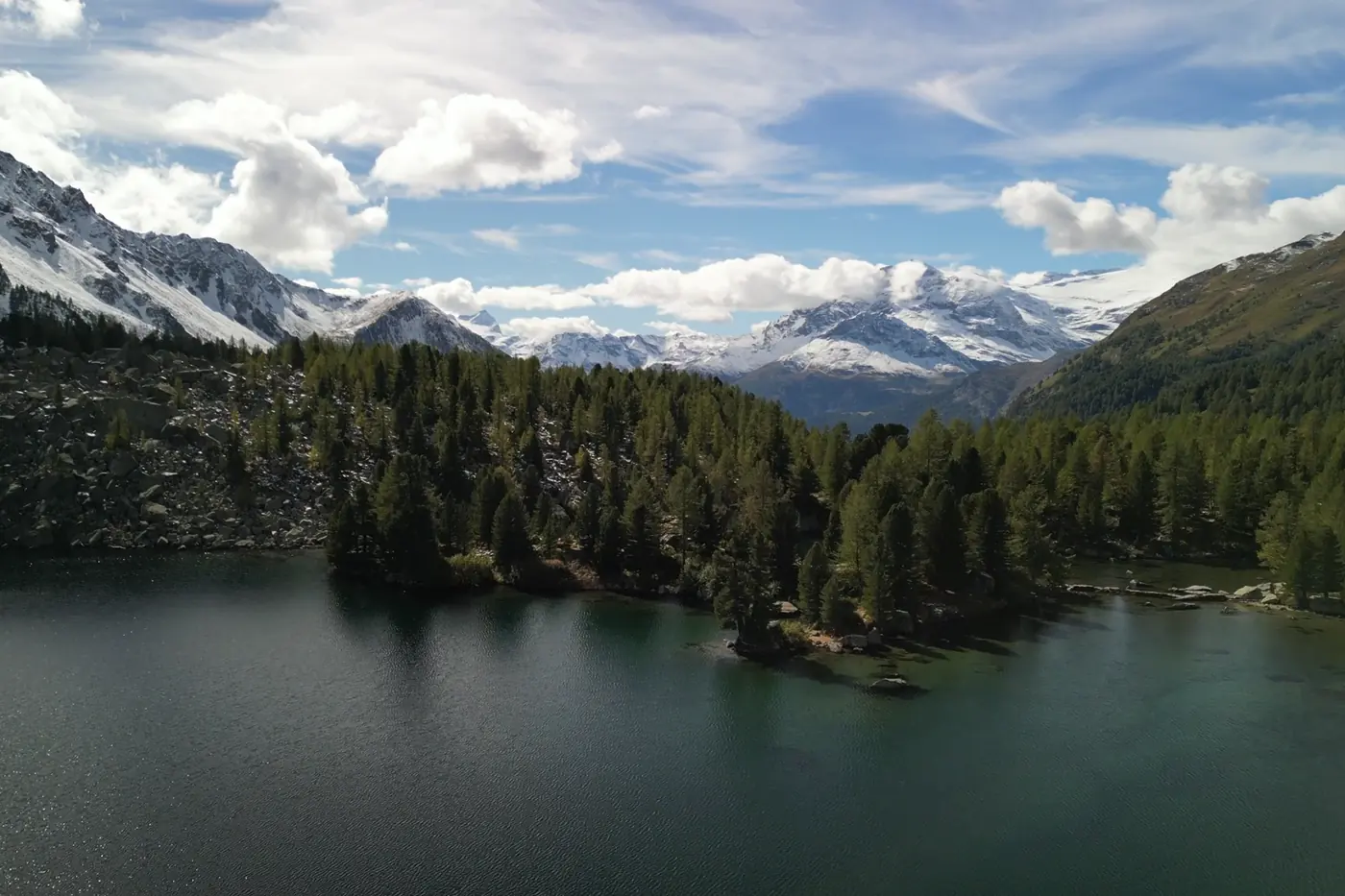 A mountain lake with pines on its shore and snow peaks behind